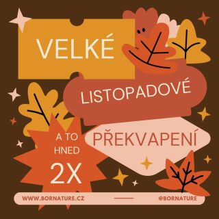 Máme pro vás překvapení ! Listopad přináší něco speciálního! Na scénu se vrací Lysi Immune Max – váš spojenec v boji za...